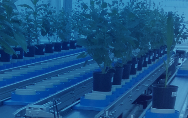 National Plant Phenotyping