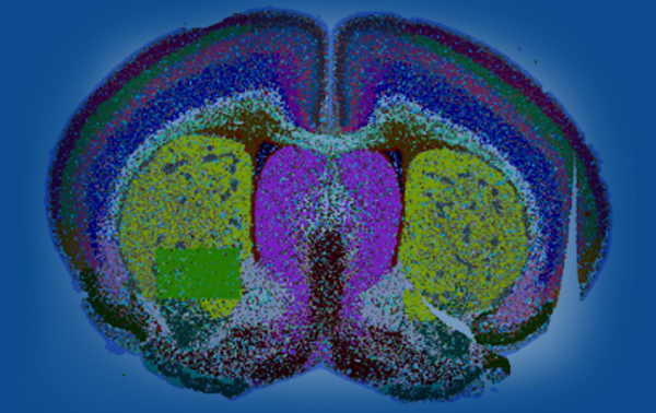 Single-Cell Omics